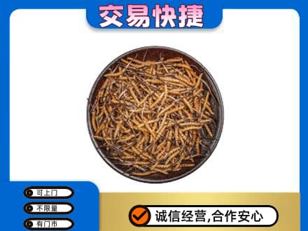雅安回收散虫草